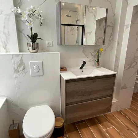 Superbe F3 Meublé , Hyper Centre, Fibre, Idéal Pro Montluçon